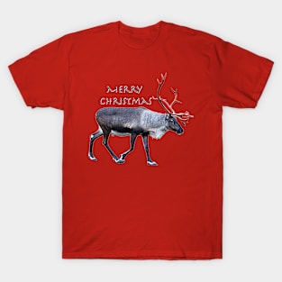 Santa Claus Reindeer T-Shirt